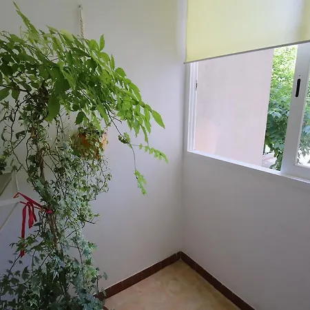 Navigare Apartment Zadar